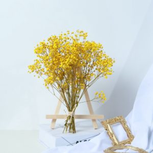 Přírodní sušené květiny - dekorace