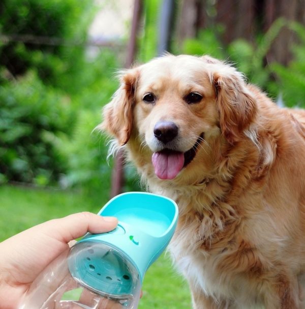 Cestovní láhev na vodu pro psa - Pink, 350ml
