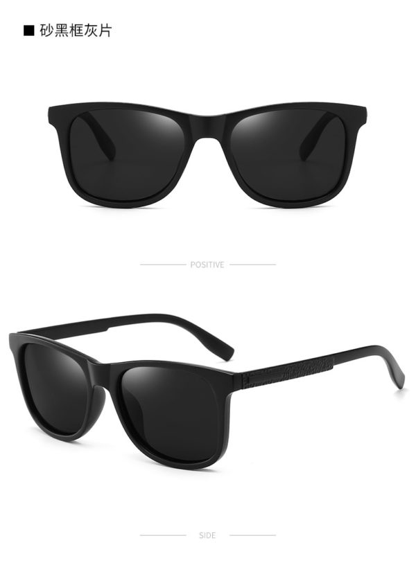 Pánské polarizační brýle Ray - Matte-black