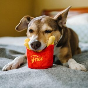 Plyšové hračky pro psy v podobě potravin