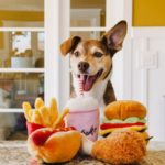 Plyšové hračky pro psy v podobě potravin - Kiwi, M