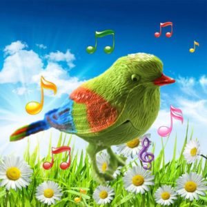 Zpívající ptáček Koki (Zelená)
