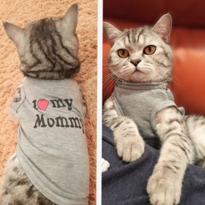 Roztomilý obleček pro kočky