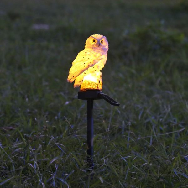 LED solární osvětlení - Cerveny-papousek
