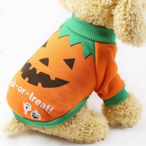 Obleček pro psy na Halloween - L