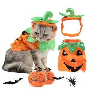 Halloween kostým pro kočky