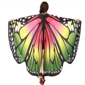 Motýlí křídla - 1